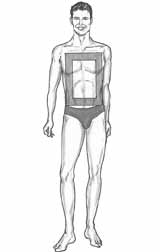 morphologie homme H ou en rectangle