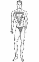 morphologie homme V ou en triangle inversé