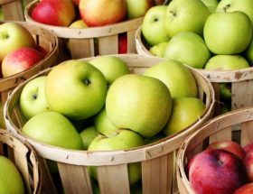 panier de pommes monodiète