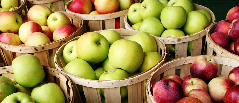 panier de pommes monodiète