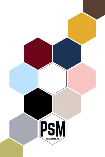nuancier des couleurs à porter avec du blanc