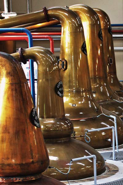 distillation du whisky