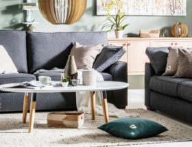 salon scandinave