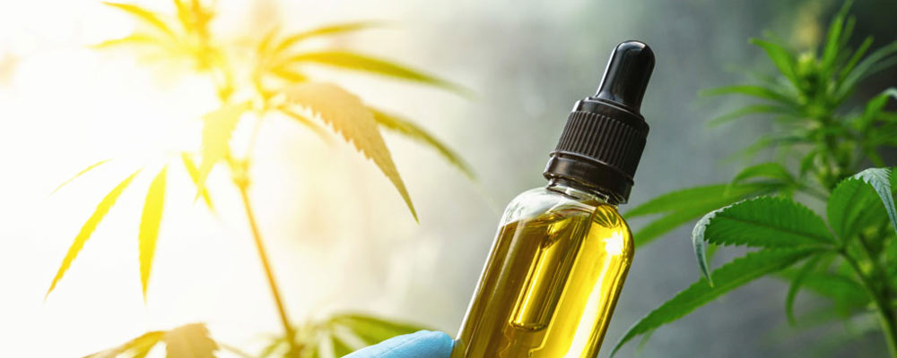 Les Bienfaits Du CBD (Cannabidiol) Sur La Santé - PsM