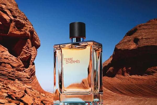 terre d'hermes meilleurs parfum homme