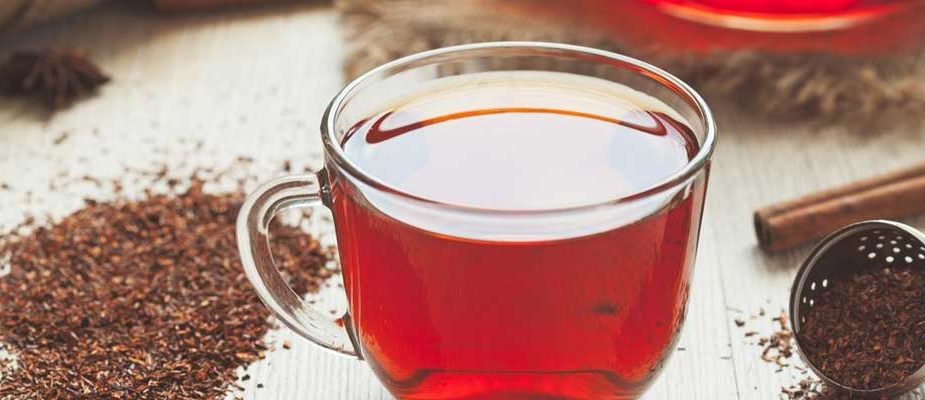 rooibos
