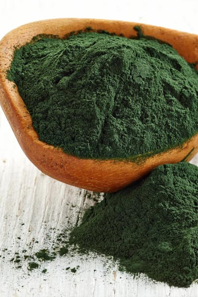 spiruline en poudre