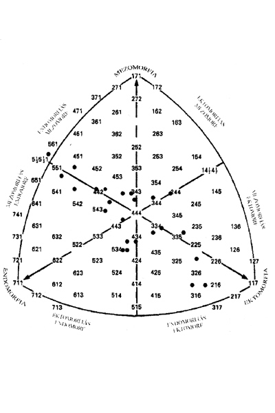 morphotype Heath & Carter