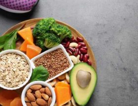musculation vegan
