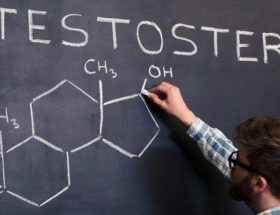 booster testostérone misculation