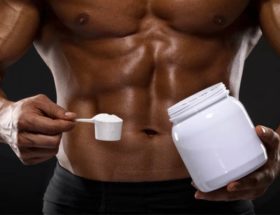 créatine musculation