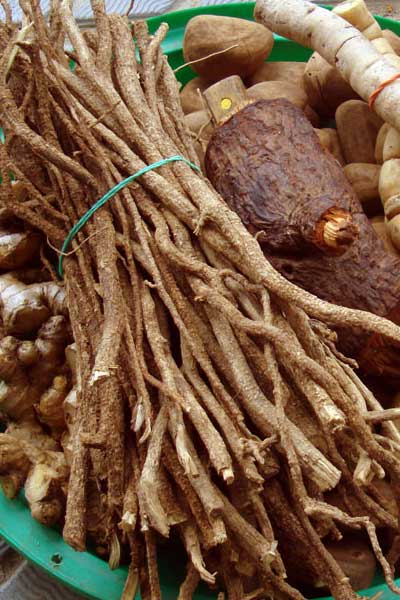 yohimbe viagra naturel