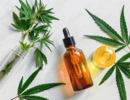 concentrés CBD
