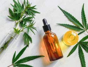 concentrés CBD