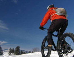 fatbike