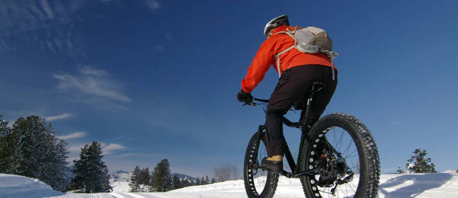 fatbike