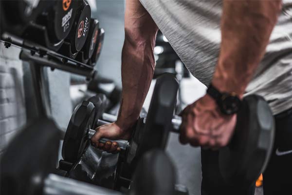 entrainement pour progresser en musculation