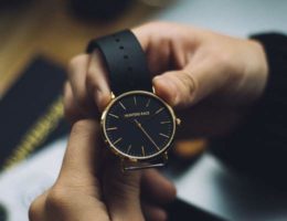 prendre soin de ses montres