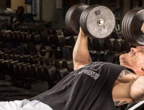 exercices haut de pecs