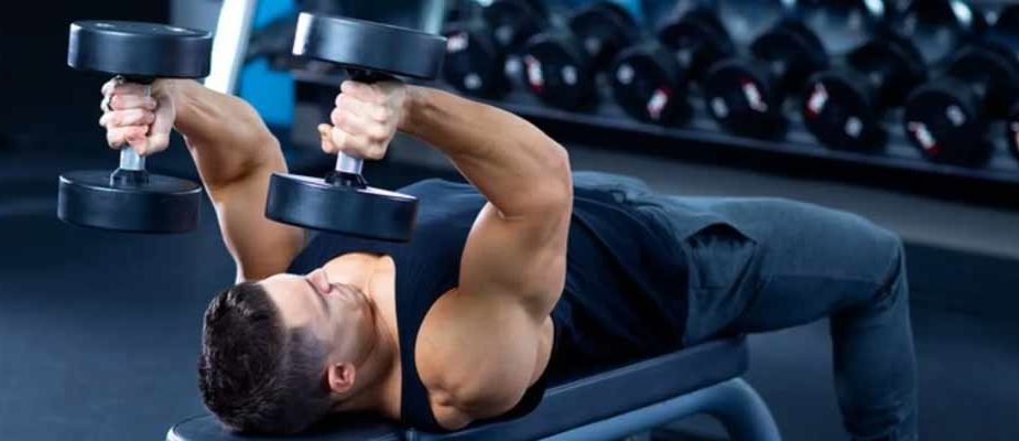 exercices triceps