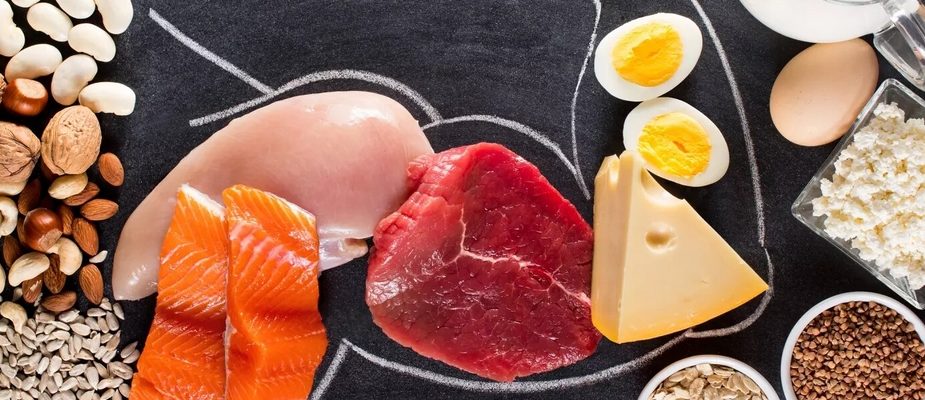 aliments riches en protéines