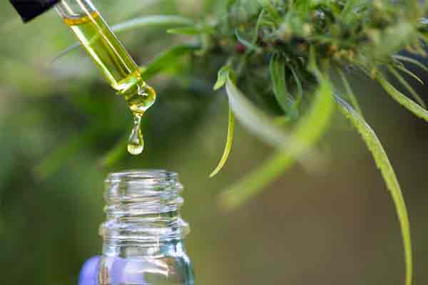 Histoire du CBD en France