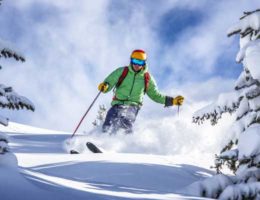 activités des stars en hiver