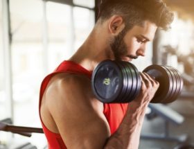 entrainement musculation