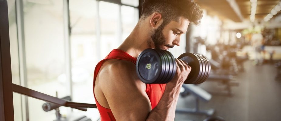 entrainement musculation