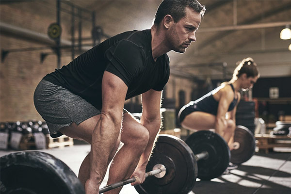 musculation deadlift