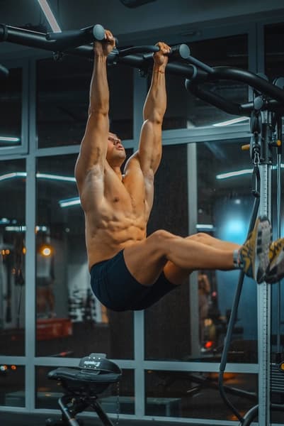 programme d'entrainement alphabody