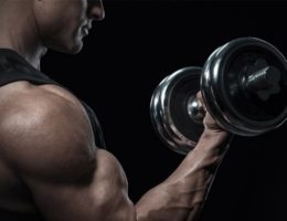 exercice biceps curl