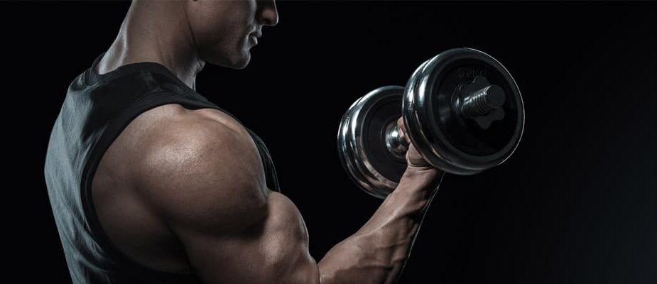 exercice biceps curl