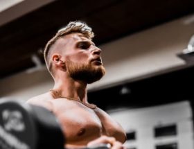programme musculation
