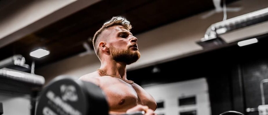 programme musculation