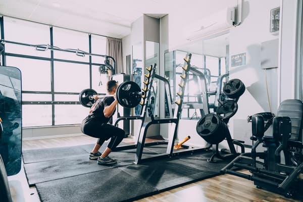 programme musculation push pull leg
