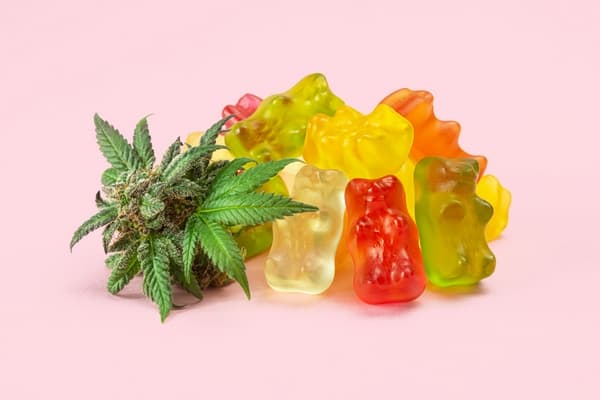 évolution CBD shops en France