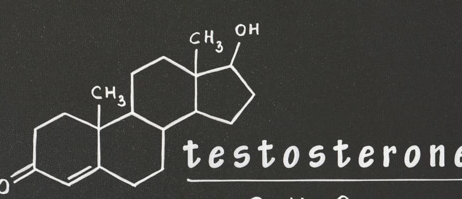 taux de testostérone