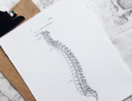 kinésithérapeute