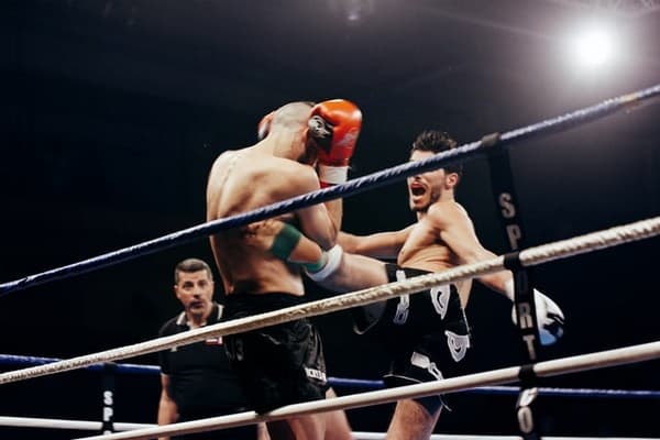 choisir type de boxe