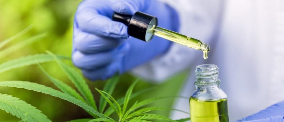 utilisation du cbd en suisse