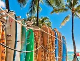 choisir une planche de surf pour débuter