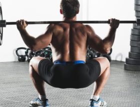 squat musculation