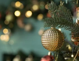 sapin de noel