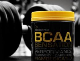 bcaa musculation