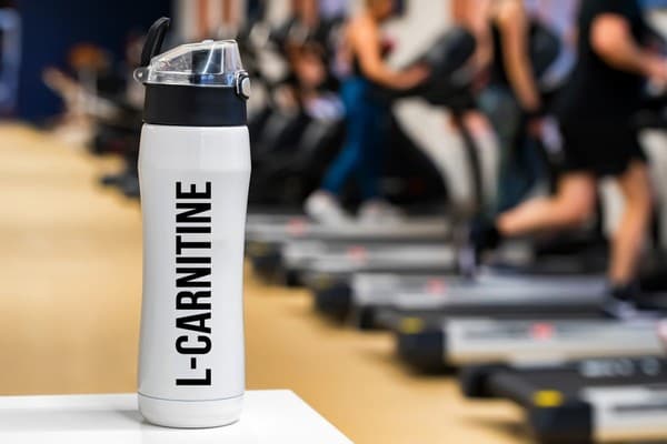 prendre l-carnitine musculation