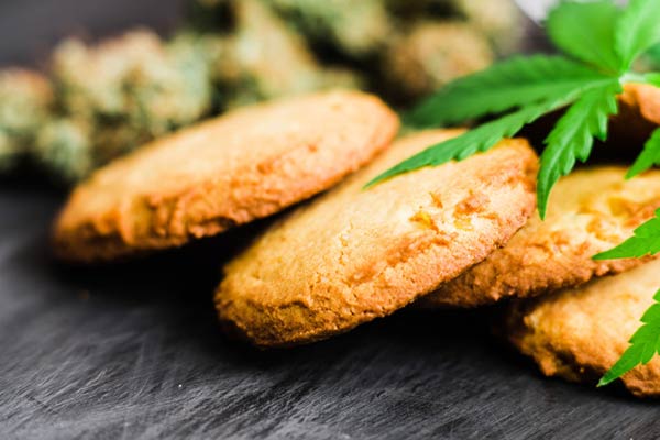 biscuit CBD