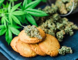 cuisiner avec du CBD