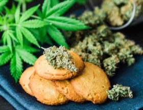 cuisiner avec du CBD