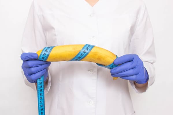 mesure taille penis